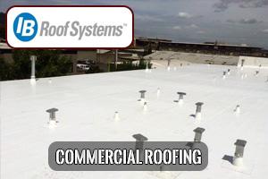 Sky High Roofing Images
